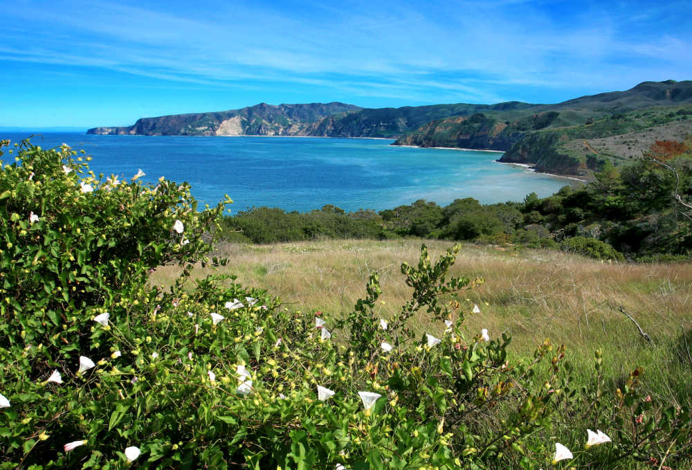 a view of a large body of water surrounded by trees