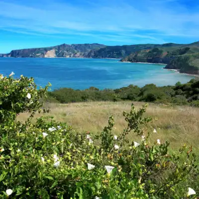 a view of a large body of water surrounded by trees