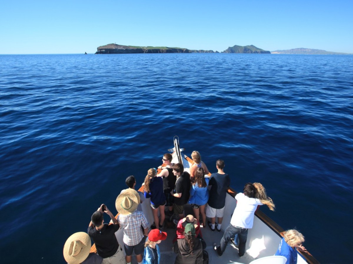 a group of people standing next to a body of water