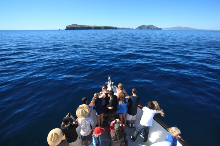 a group of people standing next to a body of water