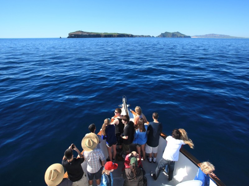 a group of people standing next to a body of water