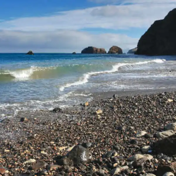 a group of people on a rocky beach