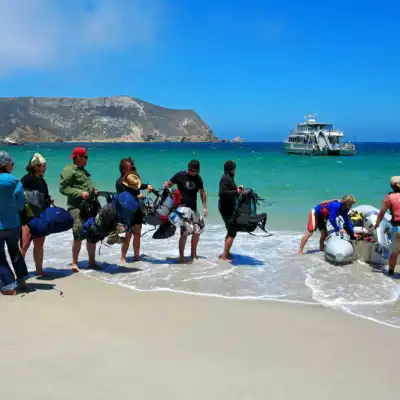 a group of people on a beach