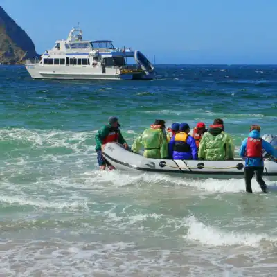 a group of people riding on the back of a boat in the water