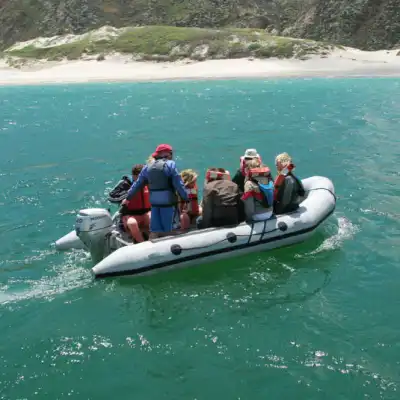 a group of people riding on the back of a boat in the water
