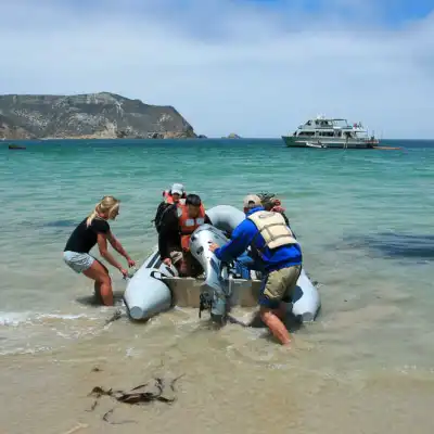 a group of people on a beach near a body of water