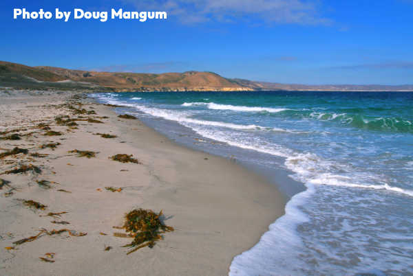 a sandy beach next to a body of water