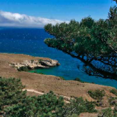 a close up of a hillside next to a body of water