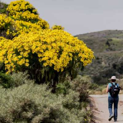 a man riding a bike down a dirt road