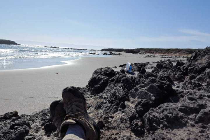 a dog standing on a rocky beach