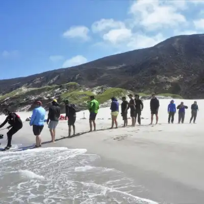 a group of people on a beach with a mountain in the background