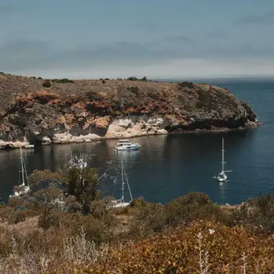 a close up of a hillside next to a body of water