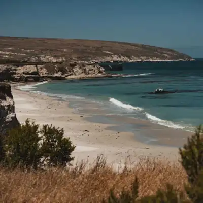 a sandy beach next to a body of water