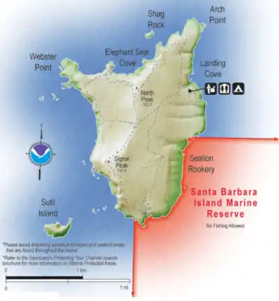 sbi-close-crop-small