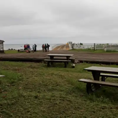 a group of people sitting on a bench in a grassy field