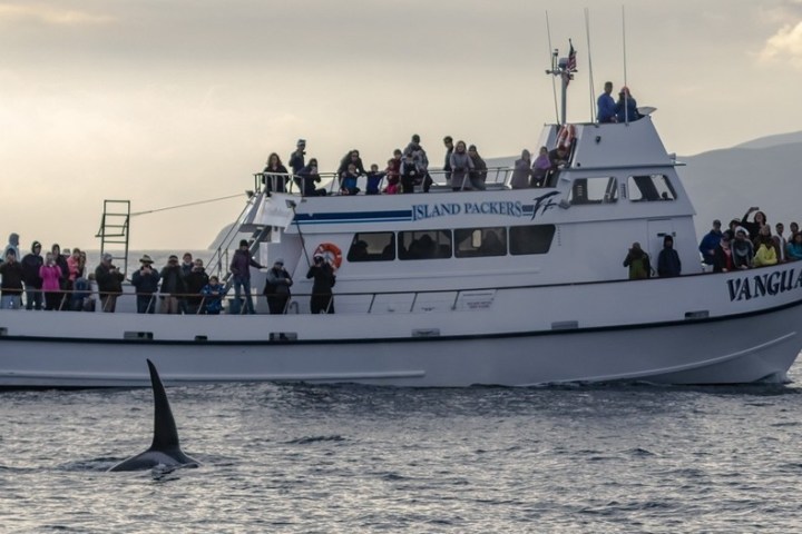 a group of people on a boat in the water