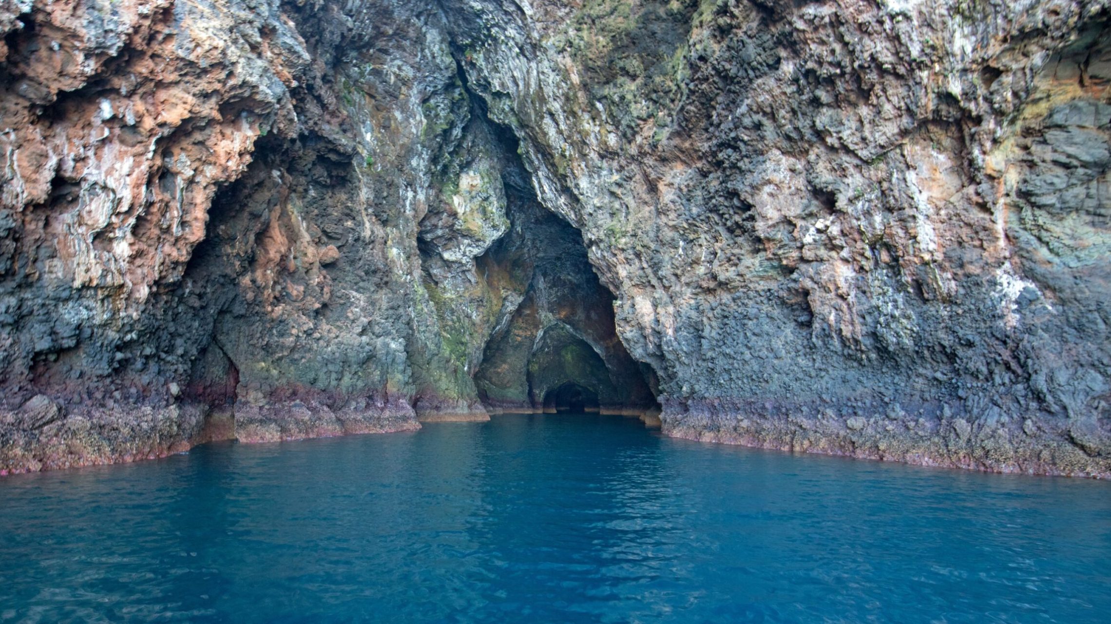 a close up of a rock next to a body of water