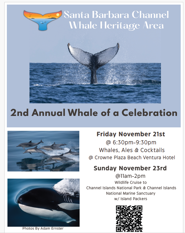 Poster for Santa Barbara whale event, featuring whale images and event details for November 21st and 23rd.